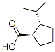 Cyclopentanecarboxylic acid, 2-(1-methylethyl)-, (1R,2S)- (9CI) CAS#: 630390-23-7