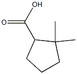 Cyclopentanecarboxylic acid, 2,2-diMethyl- CAS#: 63861-26-7