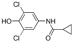 Cyclopropanecarboxamide, N-(3,5-dichloro-4-hydroxyphenyl)- (9CI) CAS#: 666710-77-6