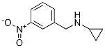 Cyclopropyl-(3-nitro-benzyl)-aMine CAS#: 697305-95-6