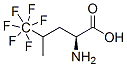 Dl-5,5,5,5,5,5-Hexafluoroleucine CAS#: 6198-60-0