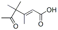 (E)-3,4,4-Trimethyl-5-oxo-2-hexenoic acid CAS#: 6994-95-2