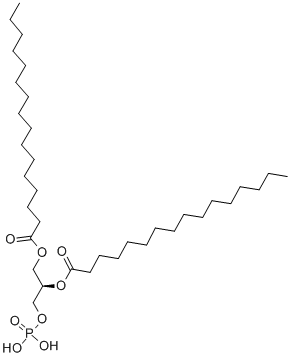 L-A-PHOSPHATIDIC ACID, DIPALMITOYL*FREE ACID CAS#: 7091-44-3