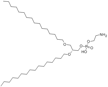 L-BETA,GAMMA-DIHEXADECYL-ALPHA-CEPHALIN CAS#: 61423-61-8