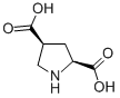 L-CIS-PYRROLIDINE-2,4-DICARBOXYLIC ACID CAS#: 64927-38-4