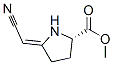L-Proline, 5-(cyanomethylene)-, methyl ester, (Z)- (9CI) CAS#: 65571-74-6