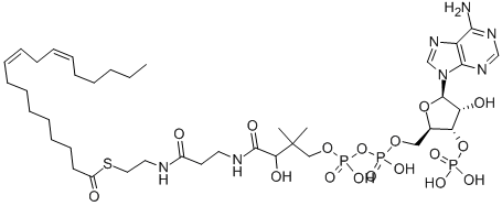 LINOLEOYL COENZYME A CAS#: 6709-57-5