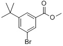METHYL-3-TERT-BUTYL-5-BROMO-BENZOATE CAS#: 560131-64-8