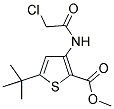 METHYL 5-(TERT-BUTYL)-3-[(2-CHLOROACETYL)AMINO]THIOPHENE-2-CARBOXYLATE CAS#: 648859-22-7