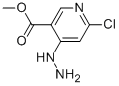 Methyl 6-chloro-4-hydrazinonicotinate CAS#: 65973-40-2