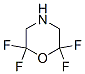 Morpholine, 2,2,6,6-tetrafluoro- (9CI) CAS#: 65502-95-6