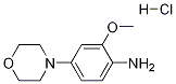 Morpholine, 4-(4-aMino-3-Methoxyphenyl)-, hydrochloride CAS#: 6950-91-0