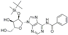 N6-benzoyl-2'-O-(tert-butyldiMethylsilyl)adenosine CAS#: 69504-07-0
