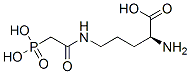 N(delta)-(phosphonoacetyl)-L-ornithine CAS#: 63446-55-9