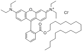OCTADECYL RHODAMINE B CHLORIDE CAS#: 65603-19-2