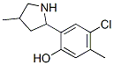 Phenol, 4-chloro-5-methyl-2-(4-methyl-2-pyrrolidinyl)- (9CI) CAS#: 603069-14-3