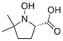 Proline, 1-hydroxy-5,5-dimethyl- (9CI) CAS#: 61856-88-0