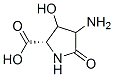 Proline, 4-amino-3-hydroxy-5-oxo- (9CI) CAS#: 63291-04-3
