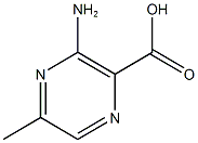 Pyrazinecarboxylic acid, 3-amino-5-methyl- (7CI,8CI,9CI) CAS#: 6761-50-8