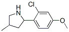 Pyrrolidine, 2-(2-chloro-4-methoxyphenyl)-4-methyl- (9CI) CAS#: 603068-83-3
