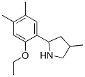 Pyrrolidine, 2-(2-ethoxy-4,5-dimethylphenyl)-4-methyl- (9CI) CAS#: 603069-00-7
