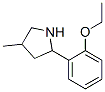Pyrrolidine, 2-(2-ethoxyphenyl)-4-methyl- (9CI) CAS#: 603068-20-8