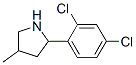 Pyrrolidine, 2-(2,4-dichlorophenyl)-4-methyl- (9CI) CAS#: 603068-14-0