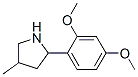Pyrrolidine, 2-(2,4-dimethoxyphenyl)-4-methyl- (9CI) CAS#: 603068-41-3
