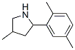 Pyrrolidine, 2-(2,5-dimethylphenyl)-4-methyl- (9CI) CAS#: 603068-18-4