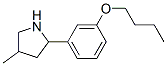 Pyrrolidine, 2-(3-butoxyphenyl)-4-methyl- (9CI) CAS#: 603089-76-5