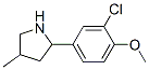 Pyrrolidine, 2-(3-chloro-4-methoxyphenyl)-4-methyl- (9CI) CAS#: 603068-57-1