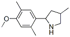 Pyrrolidine, 2-(4-methoxy-2,5-dimethylphenyl)-4-methyl- (9CI) CAS#: 603068-61-7