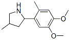 Pyrrolidine, 2-(4,5-dimethoxy-2-methylphenyl)-4-methyl- (9CI) CAS#: 603068-78-6