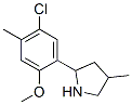 Pyrrolidine, 2-(5-chloro-2-methoxy-4-methylphenyl)-4-methyl- (9CI) CAS#: 603069-01-8