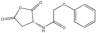 (R)-N-(2,5-dioxotetrahydrofuran-3-yl)-2-phenoxyacetamide CAS#: 67513-63-7