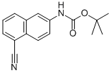 TERT-BUTYL (5-CYANO-2-NAPHTHYL)CARBAMATE CAS#: 685902-47-0