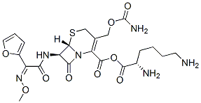 cefuroxime lysine CAS#: 65527-51-7
