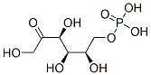 fructose-6-phosphate CAS#: 6814-87-5