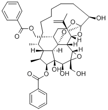 gnidimacrin CAS#: 60796-70-5