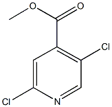methyl 2,5-dichloroisonicotinate CAS#: 623585-74-0