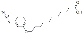 omega- (3-azidophenoxy) acido undecanoico CAS #: 65114-63-8