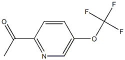 1-(5-TrifluoroMethoxy-pyridin-2-yl)-ethanone CAS#: 1060814-98-3