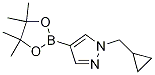 1-(CyclopropylMethyl)-4-(4,4,5,5-tetraMethyl-1,3,2-dioxaborolan-2-yl)-1H-pyrazole CAS#: 1000801-75-1