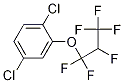 1,4-dichloro-2-(1,1,2,3,3,3-hexafluoropropoxy)benzene CAS#: 1026364-35-1