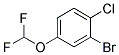 2-Bromo-1-chloro-4-(difluoromethoxy)benzene CAS#: 1000574-90-2