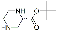 2-Piperazinecarboxylicacid,1,1-dimethylethylester,(S)-(9CI) CAS#: 198992-48-2