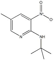 2-t-ButylaMino-5-Methyl-3-nitropyridine CAS#: 1033202-70-8