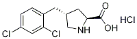 (2S,4R)-4-(2,4-dichlorobenzyl)pyrrolidine-2-carboxylic acid hydrochloride CAS#: 1049740-52-4