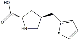 (2S,4S)-4-(thiophen-2-ylMethyl)pyrrolidine-2-carboxylic acid CAS#: 1049983-85-8