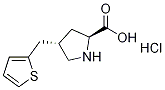(2S,4S)-4-(thiophen-2-ylMethyl)pyrrolidine-2-carboxylic acid hydrochloride CAS#: 1049753-34-5